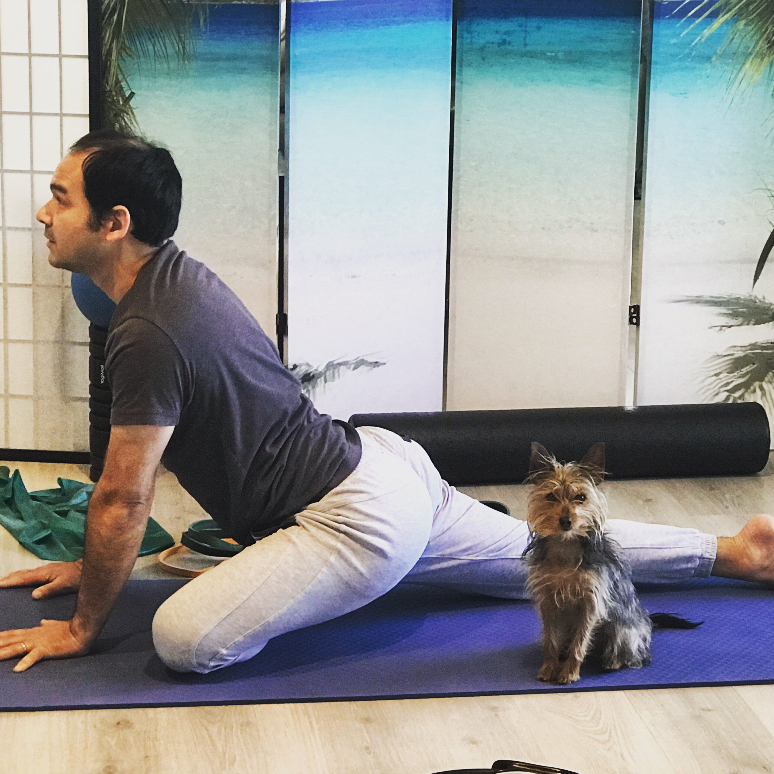 A517F614-8605-4B28-A406-92012166E7EA A517F614-8605-4B28-A406-92012166E7EA